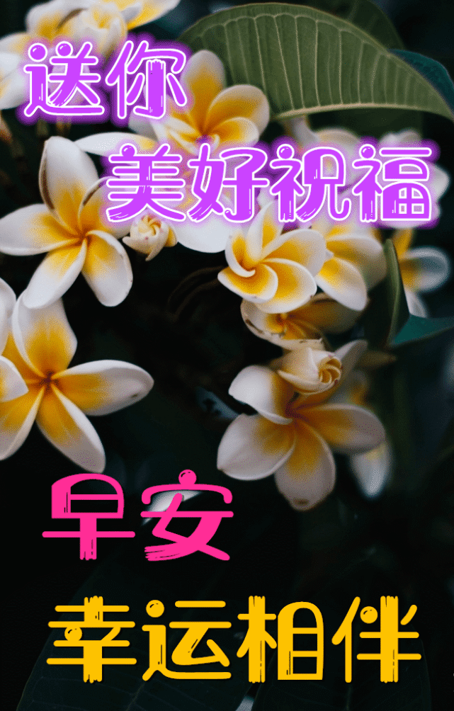 漂亮早上好问候动态表情图片大全,最美早上好问候祝福图片