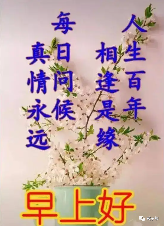 早上好送上祝福真情永遠