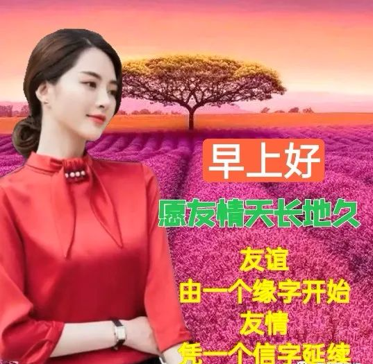 清晨問候早安唯美美女圖片帶字表情,漂亮美女早上好祝福圖文短語_騰訊