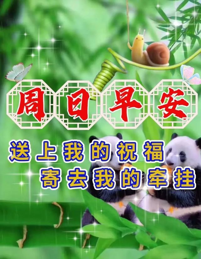 2022年5月15日星期天早上好问候祝福动态表情图片大全 周日最新早安