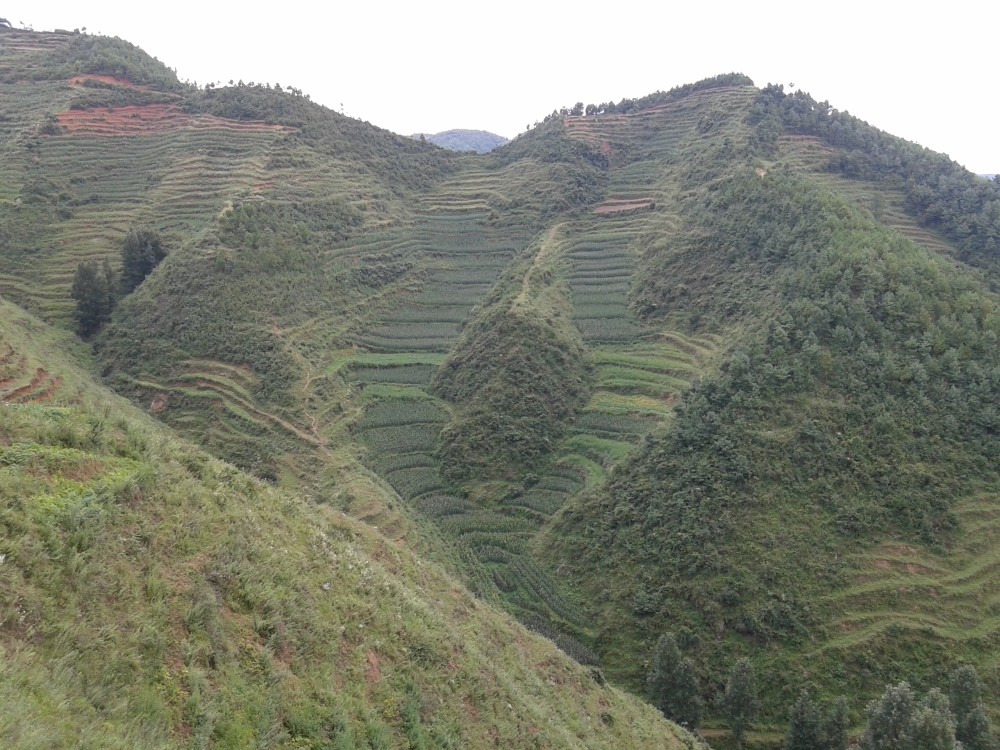 走烏蒙那些年2015年8月在雲南宣威市雙河鄉某村民小組看山讀山聽山