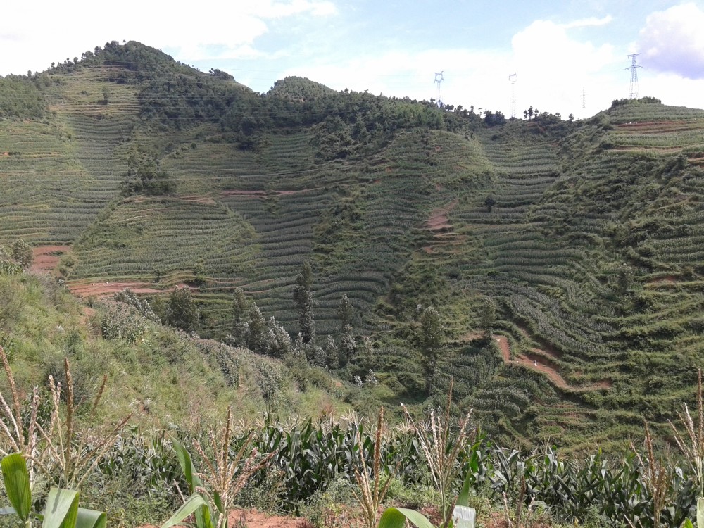 走烏蒙那些年2015年8月在雲南宣威市雙河鄉某村民小組看山讀山聽山