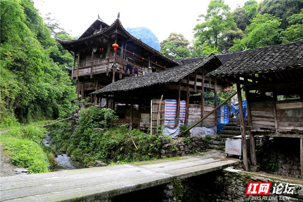 古木苍劲溪流交错在绿意葱茏的原生态古村落发现时光之美