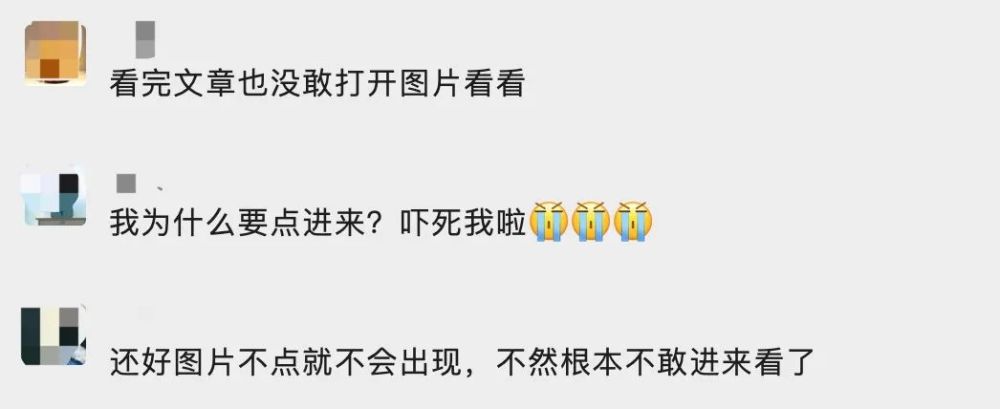 蛇蛇你为什么不敢点开有蛇的图片