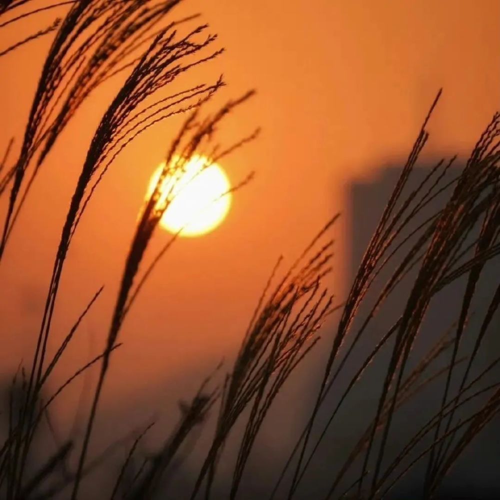 文案 与黄昏日落有关的惊艳句子 腾讯新闻