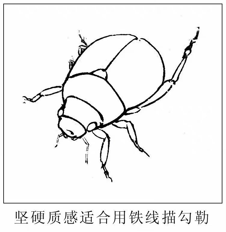 工筆畫線稿怎麼正確用線教你5種線條畫法看似簡單卻極其難畫