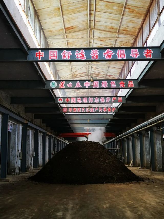 在芦台春酒酿造车间门外,酒厂工业游导游为大家介绍芦台春酒酱酒酿造