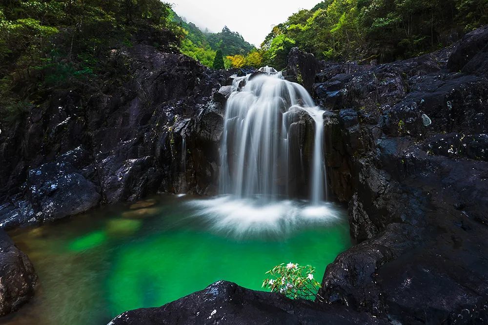 庆元有个浙南九寨沟三井溪