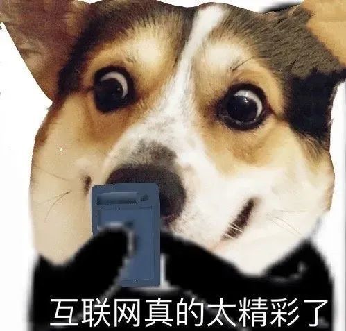 威尔·鲍温19,如果结果不如你所愿,就在尘埃落定前奋力一搏.