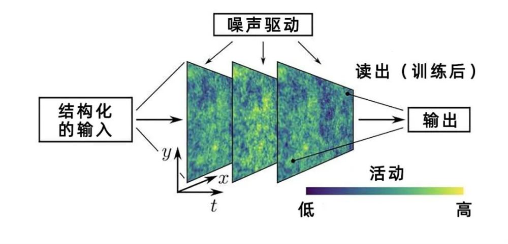 驻美使领馆增设疫情热线方便中国公民及留学生求助滴滴特惠快车