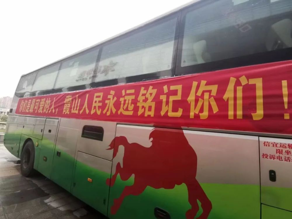 信宜大白回家了