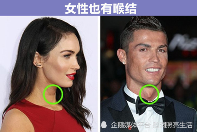 你可能会认为,只有男性才会长喉结,然而实际上,女性其实也有喉结,只是