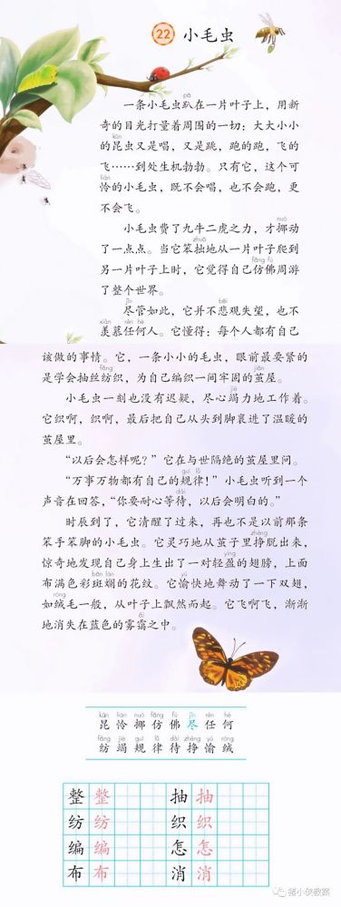 《小毛虫》预习知识点一,会写字及组词整zhěng(整齐(工整(整体)抽