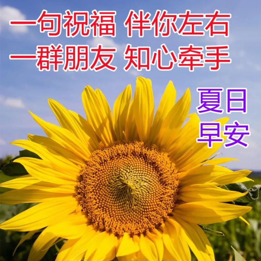 特别漂亮早安问候祝福图片唯美温馨带字清晨早安祝福语短信
