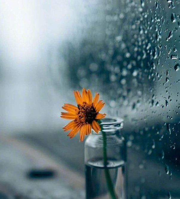 适合下雨天发朋友圈的干净治愈文案 雨天幽默正能量的句子