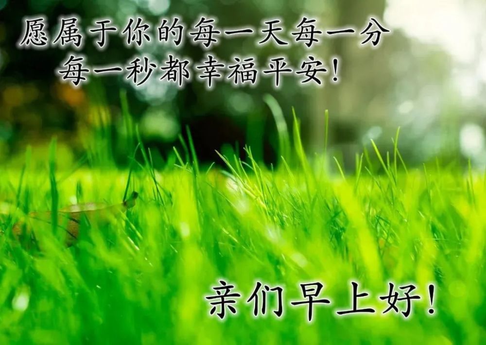 炎炎夏日風景清新早上好圖片帶字帶祝福語親們早上好