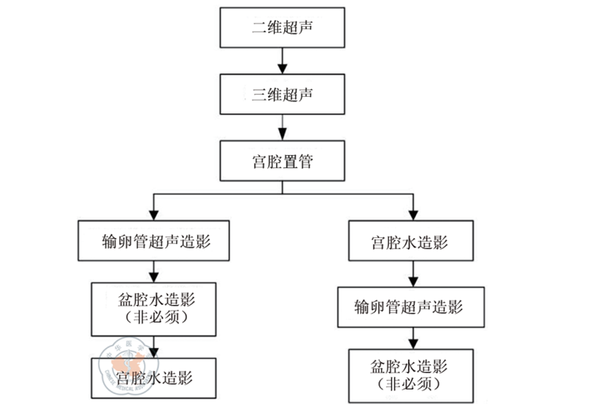 不孕症子宮輸卵管超聲造影的操作流程注意事項及評估方案