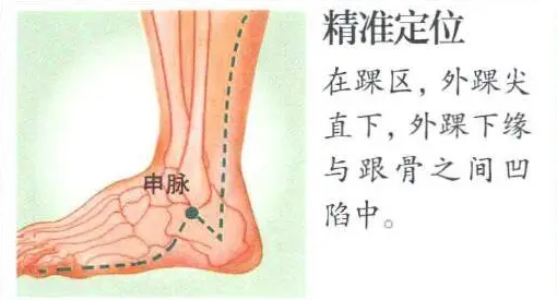 申脉穴头痛眩晕癫狂痫腰腿酸痛