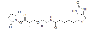 吖啶酯化学发光如何提高灵敏度