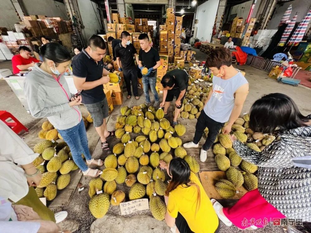 市民挑選水果外地果海南雲南產水果佔半壁江山價格較貴記者走訪多日