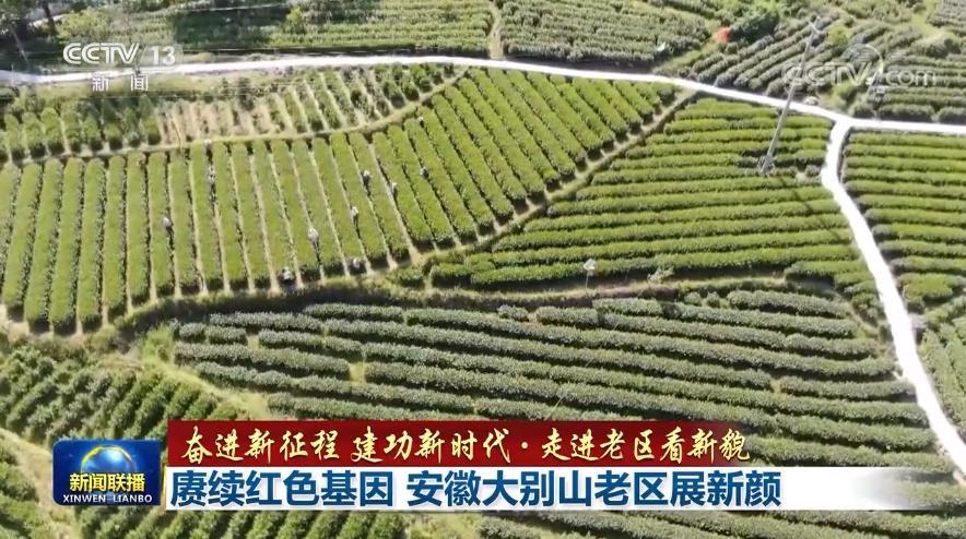 【奋进新征程建功新时代·走进老区看新貌】赓续红色基因安徽大别山老区展新颜