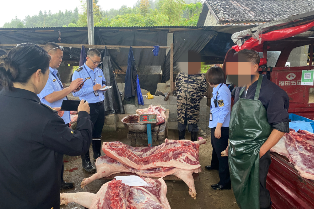 近日,市农业农村局联合市公安局开展"511"生猪私屠滥宰专项执法行动
