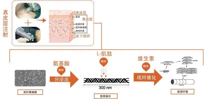 只要能眼周恢復青春活力,還怕沒有小鹿眼嗎?