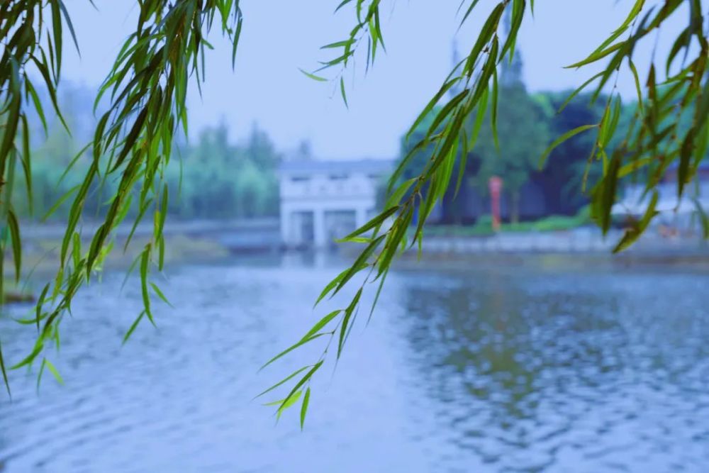 夏日已至,一切事物在夏天这个名词的衬托下,都熠熠生辉.