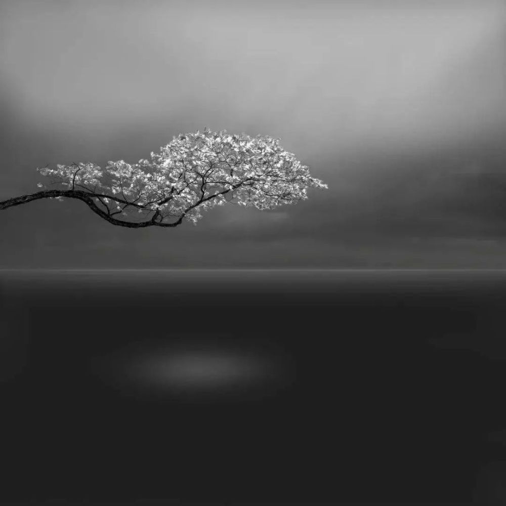 段岳衡:黑白适界作品精选|器材商公益摄影展(三)_腾讯新闻