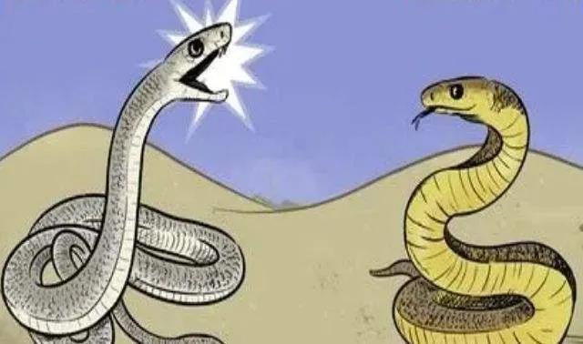 蛇鼠一窝的漫画图片图片