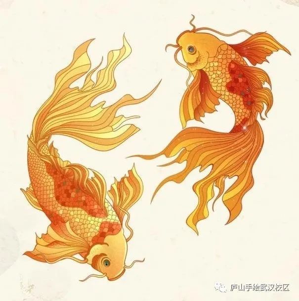 每周一绘|视觉传达锦鲤元素马克笔表达