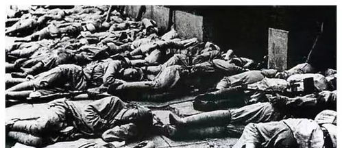 那一年很壮观,上海解放后全城都是席地而睡的解放军战士