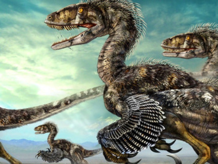 最完整恐爪龙骨骼化石拍卖成交价逾1200万美元笛子口型教学视频