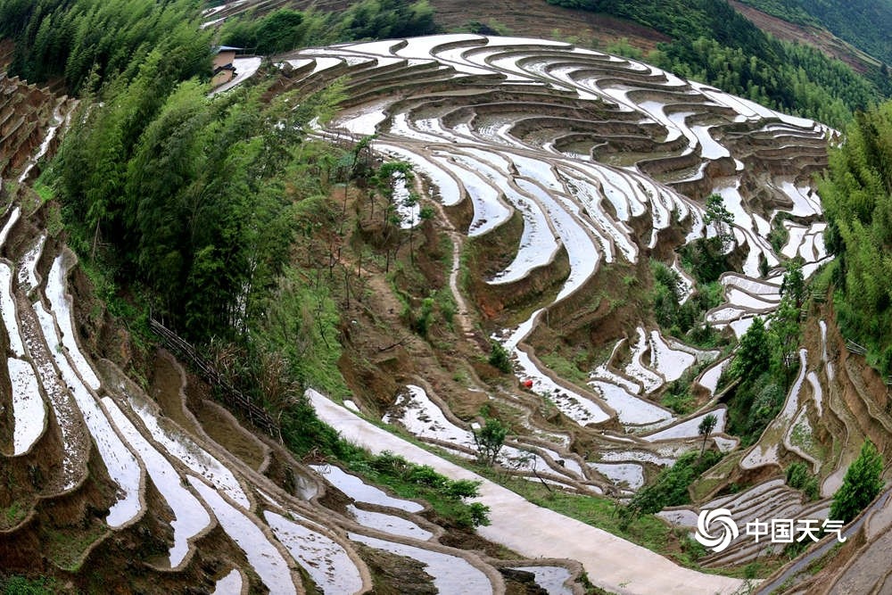 珠田,高坪等乡镇的青山绿水之间,一块块依山而建水田汇聚成为道道梯田