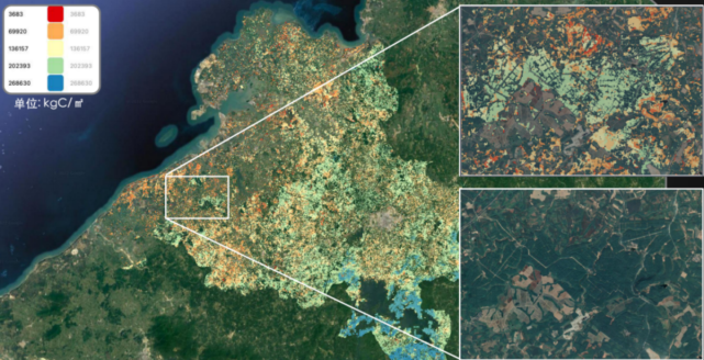 海南省儋州市的森林固碳量测算(2021)