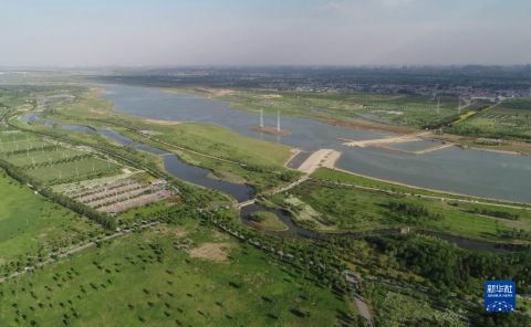 河北石家莊:滹沱河生態治理見成效