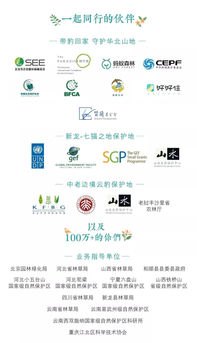 飞生鸟？寒号鸟？中国的松鼠种类，光北京就能占三分之一！_腾讯新闻