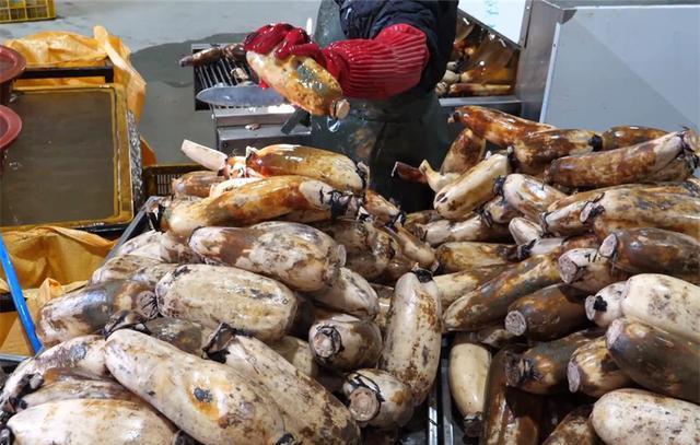 不起眼的莲藕,一斤卖到250元,年产值3600万元,出口全球不够卖