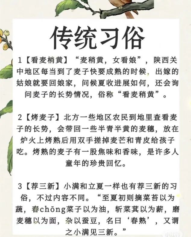 小满习俗grain full小满是二十四节气中第8个节气,是夏季的第2个节气.