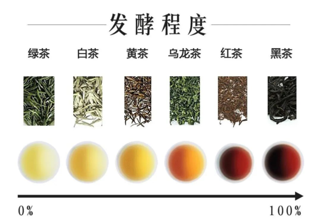 含量由高到低的排序依次是:绿茶>白茶>黄茶>青茶(乌龙茶)>红茶>黑茶
