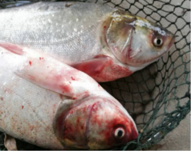 腾讯内容开放平台