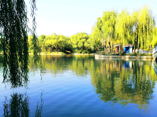 北京二环内有座大湖，人称“小西湖”，0元门票
