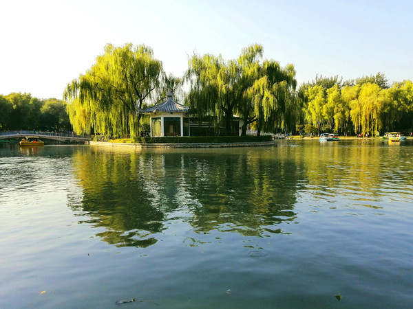 5月初夏·我想念这样的北京｜北京LOOK