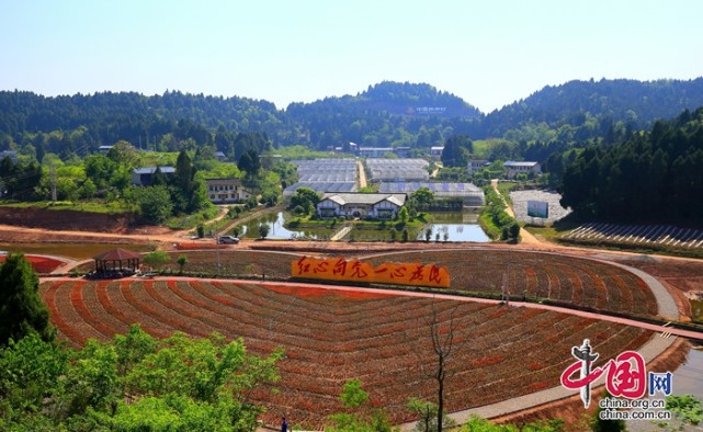 精品村建设"火力全开" 蓬溪县常乐镇拱市联村有了大改变