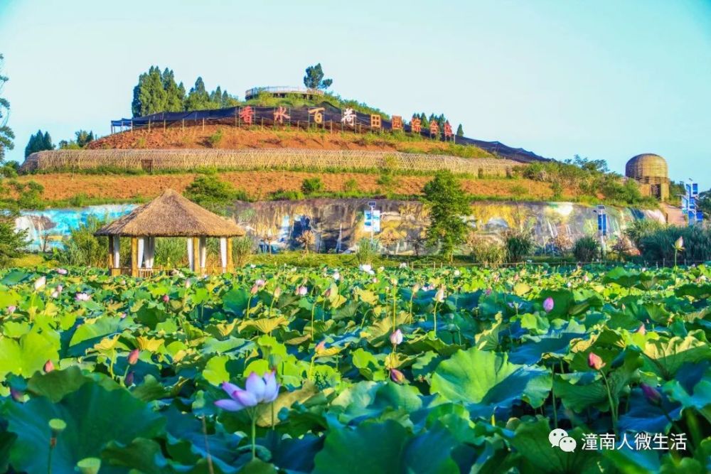 519中國旅遊日潼南這些景區酒店有優惠哦