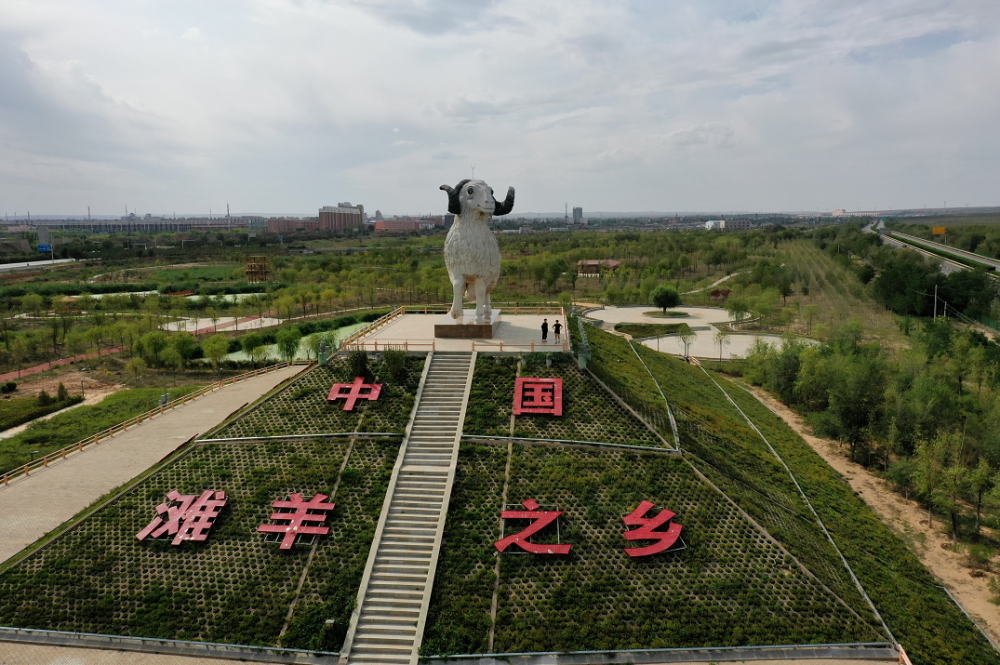吴忠"羊"名海内外!一起揭秘"盐池滩羊的那些事儿"_腾讯新闻