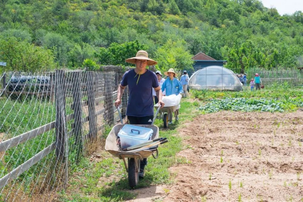 马斯克称除非Twitter证明虚假账户少于5％，否则交易无法推进