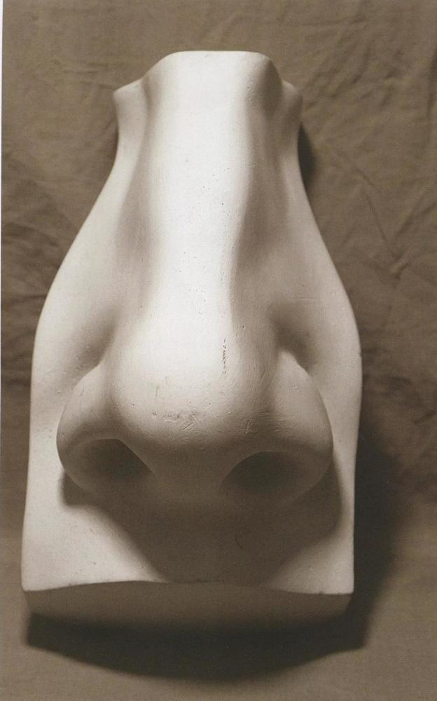 石家庄美术集训机构前十名丨素描石膏像之鼻子的刻画_腾讯新闻