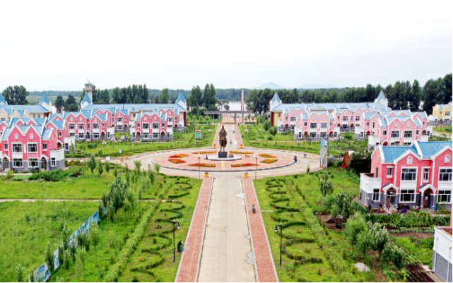 鹤岗市绥滨县忠仁镇率先走好四步路乡村旧貌换新颜