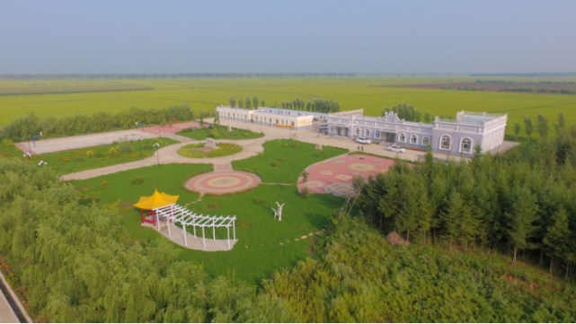 鹤岗市绥滨县忠仁镇率先走好四步路乡村旧貌换新颜